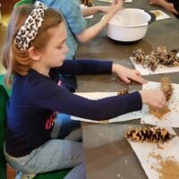 making bird seed pinecones