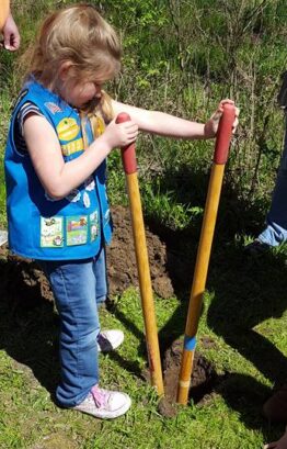 Daisy Scout using pole digger